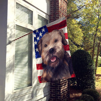 Border Terrier Dog American Flag Flag Canvas House Size CK6448CHF