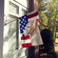 Borzoi Dog American Flag Flag Canvas House Size CK6449CHF