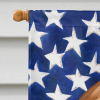 Bracco Italiano Dog American Flag Flag Canvas House Size CK6456CHF