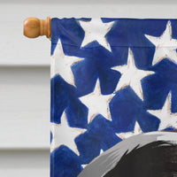 Braque d'Auvergne Dog American Flag Flag Canvas House Size CK6457CHF