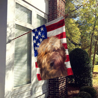 Briard Dog American Flag Flag Canvas House Size CK6461CHF