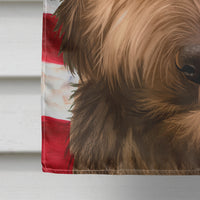 Briard Dog American Flag Flag Canvas House Size CK6461CHF