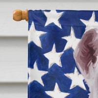 Bully Kutta Dog American Flag Flag Canvas House Size CK6470CHF