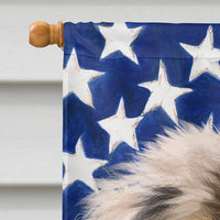 Carpathian Shepherd Dog American Flag Flag Canvas House Size CK6478CHF