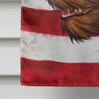 Cesky Fousek Dog American Flag Flag Canvas House Size CK6484CHF