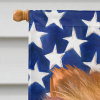 Chow Chow Dog American Flag Flag Canvas House Size CK6490CHF