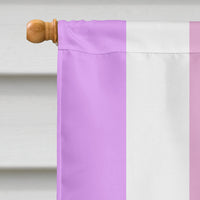 Bigender Pride Flag Canvas House Size