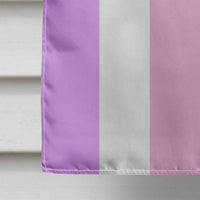 Bigender Pride Flag Canvas House Size