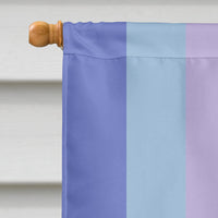 Bigender Pride Flag Canvas House Size