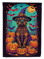 Border Terrier Witchy Halloween House Flag