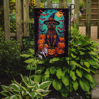 Border Terrier Witchy Halloween Garden Flag