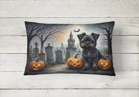 Affenpinscher Spooky Halloween Fabric Decorative Pillow