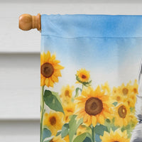 Alaskan Klee Kai in Sunflowers House Flag