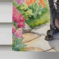 American Water Spaniel Spring Path House Flag