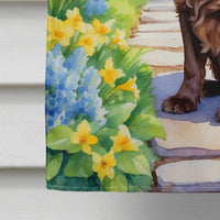 Cocker Spaniel Spring Path House Flag