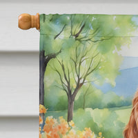 Welsh Springer Spaniel Spring Path House Flag