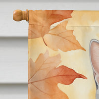 American Shorthair Cat in Fall Leaves House Flag