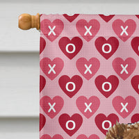 Australian Shepherd Hearts Love and Valentine's Day  Flag Canvas House Size