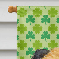 Border Terrier St. Patrick's Day Shamrock Portrait Flag Canvas House Size