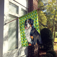 Bernese Mountain Dog St. Patrick's Day Shamrock Portrait Flag Canvas House Size