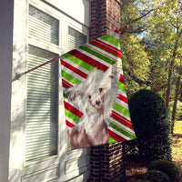 Chinese Crested Candy Cane Holiday Christmas  Flag Canvas House Size