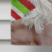 Chinese Crested Candy Cane Holiday Christmas  Flag Canvas House Size