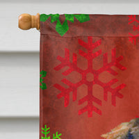 Dachshund Red Green Snowflake Holiday Christmas Flag Canvas House Size