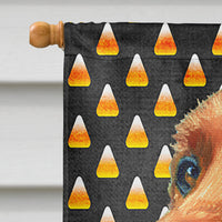 Irish Setter Candy Corn Halloween Flag Canvas House Size LH9548CHF