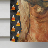 Irish Setter Candy Corn Halloween Flag Canvas House Size LH9548CHF