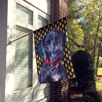 Black Great Dane Puppy Candy Corn Halloween Flag Canvas House Size LH9551CHF