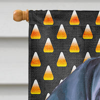 Black Great Dane Puppy Candy Corn Halloween Flag Canvas House Size LH9551CHF