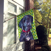 Black Great Dane Puppy St. Patrick's Day Shamrock Flag Canvas House Size LH9572CHF