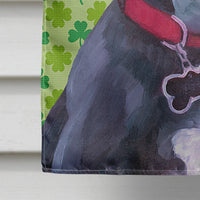 Black Great Dane Puppy St. Patrick's Day Shamrock Flag Canvas House Size LH9572CHF