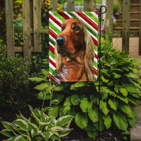 Irish Setter Candy Cane Holiday Christmas Flag Garden Size LH9590GF