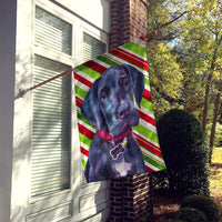 Black Great Dane Puppy Candy Cane Holiday Christmas Flag Canvas House Size LH9593CHF