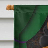 Border Collie Halloween House Flag