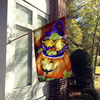 Bewitched and Glowing Halloween Flag Canvas House Size PJC1004CHF