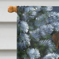 Boxer Let's Play Christmas Flag Canvas House Size PPP3040CHF