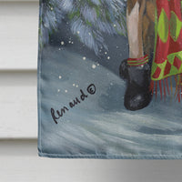 Boxer Let's Play Christmas Flag Canvas House Size PPP3040CHF