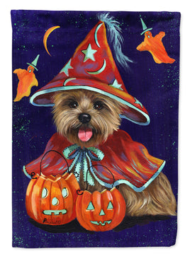 Cairn Terrier Halloween Witch Flag Canvas House Size PPP3061CHF