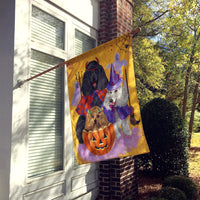 Poodle Halloween Flag Canvas House Size PPP3146CHF