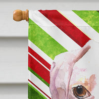 Cooper Candy Stripe Boxer Christmas Flag Canvas House Size RDR3002CHF