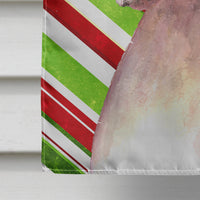 Cooper Candy Stripe Boxer Christmas Flag Canvas House Size RDR3002CHF