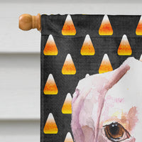 Cooper Candy Corn Boxer Halloween Flag Canvas House Size RDR3008CHF