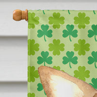 Chihuahua St Patrick's Day Flag Canvas House Size RDR3013CHF