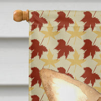 Chihuahua Fall Leaves Flag Canvas House Size RDR3015CHF