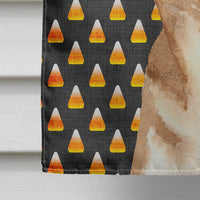 Candy Corn Chihuahua Halloween Flag Canvas House Size RDR3016CHF