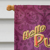 Hello Pumpkin Halloween Flag Canvas House Size