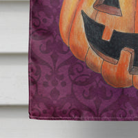 Hello Pumpkin Halloween Flag Canvas House Size