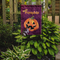 Hello Pumpkin Halloween Flag Garden Size